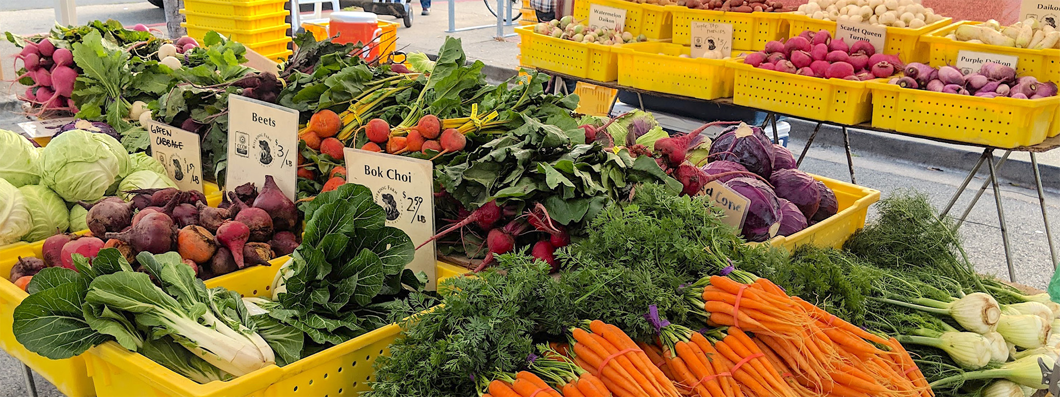 Good Food Systems are Community-Grown