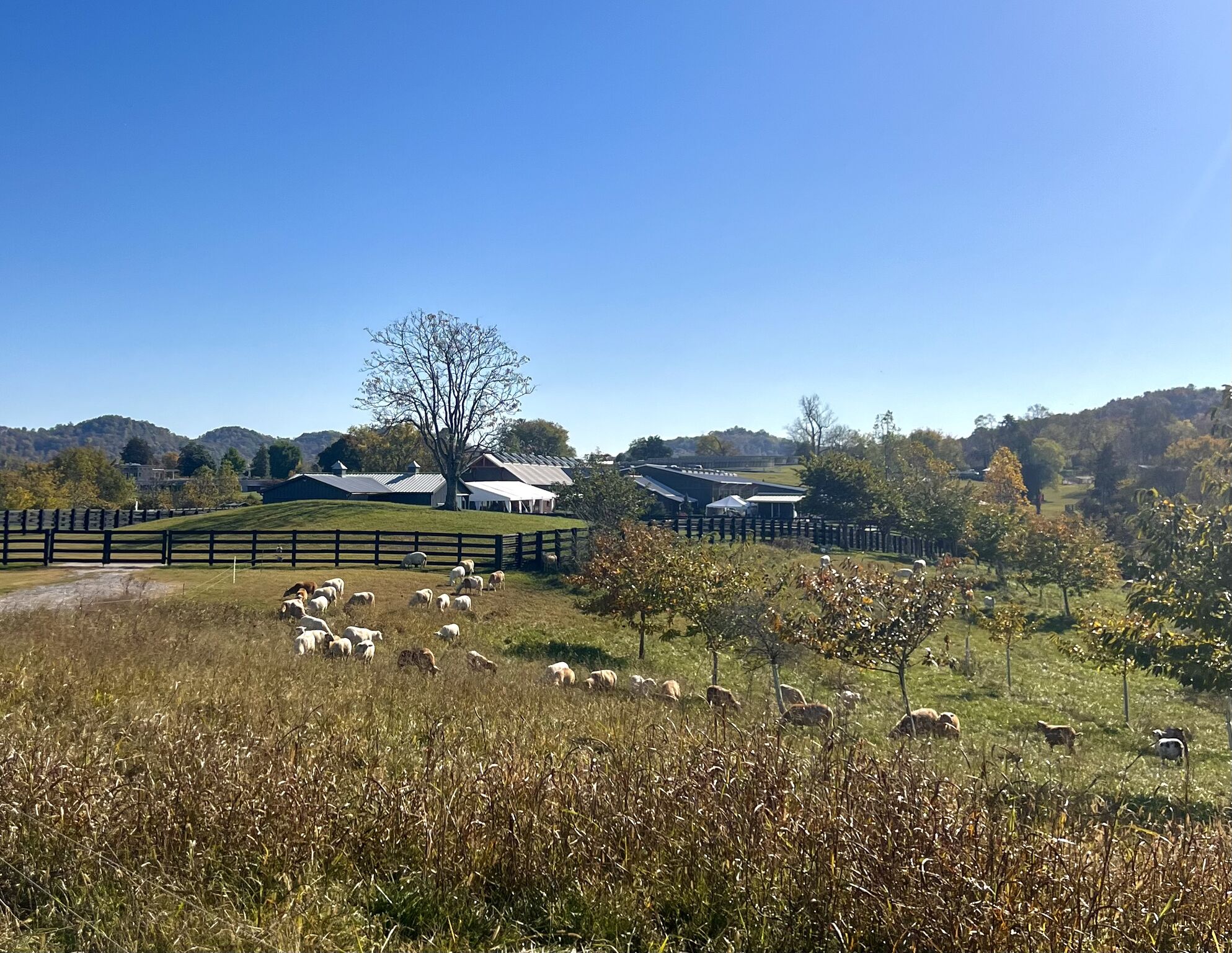 Reflections from The Climate Underground 2024