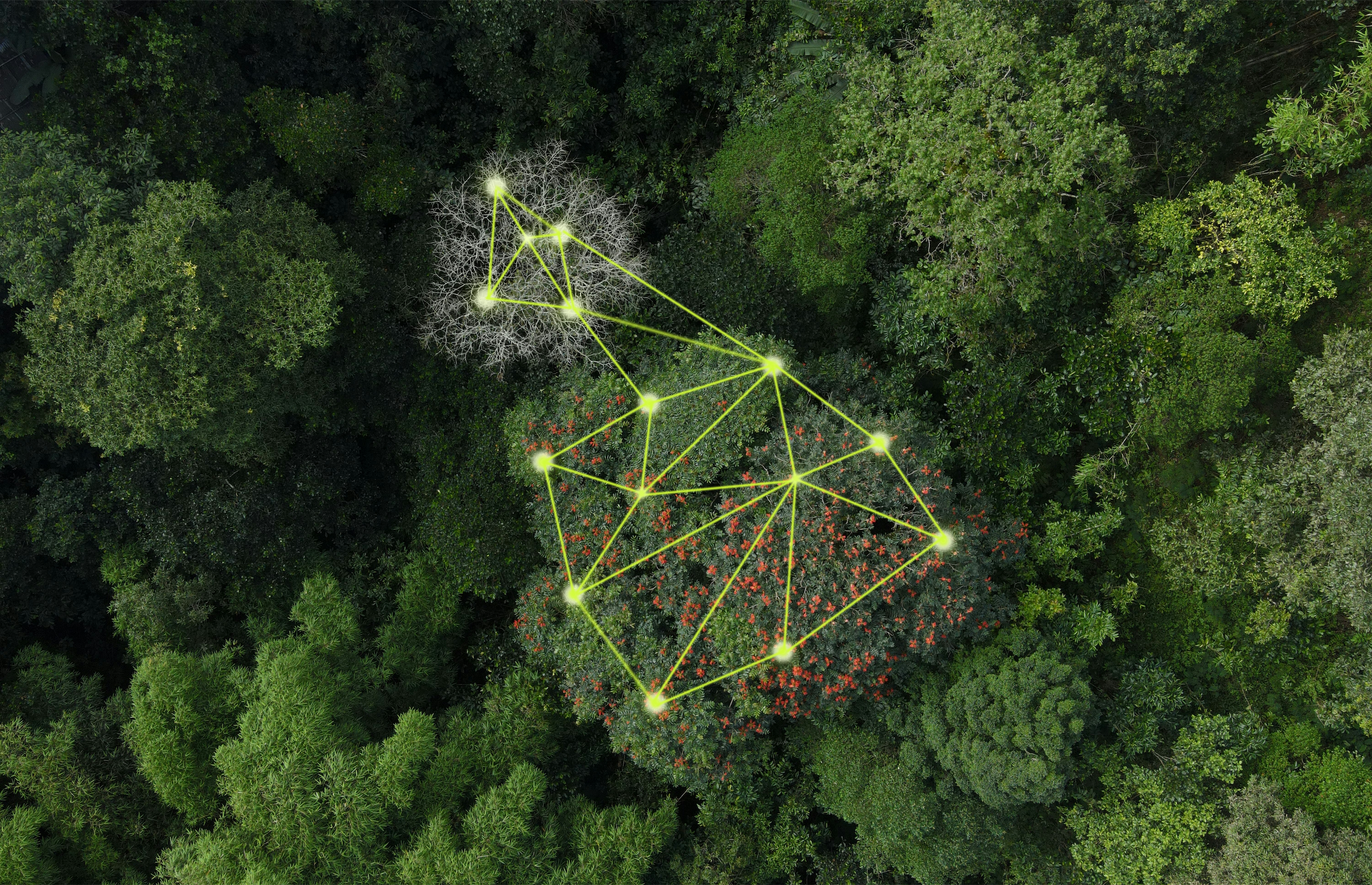 The In(Put)s and Out(Put)s of Regenerative Economics: A Network Science Framework for Food Systems Transformation